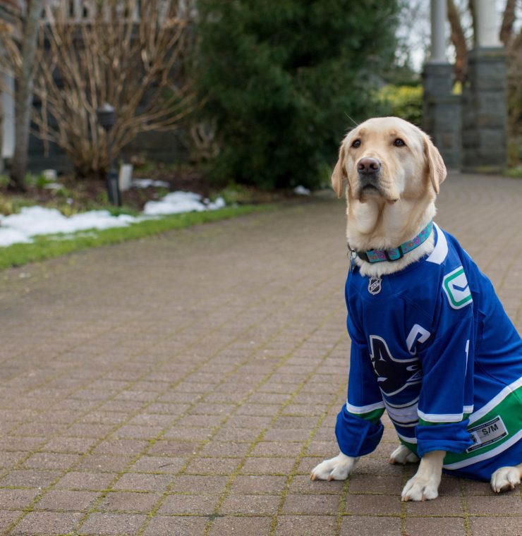 Canuck Place therapy dog, Gaia