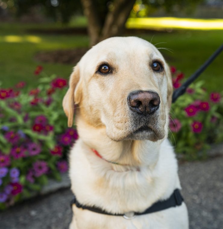 Gaia June employee of the month Canuck Place